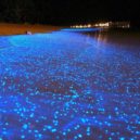 Fosforeskující moře na ostrově Vaadhoo, Maledivy - Moře plné hvězd, Vaadhoo, Maledivy