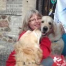 Pomocné tlapky 2018 - 42299650_2215845298428087_1136858786481307648_o
