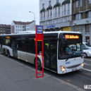 Patnáctimetrový autobus v Praze - DSC01160-1w
