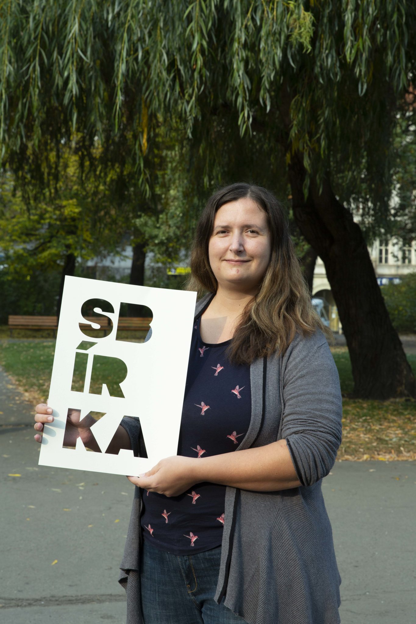 Obrázek #9 z 11