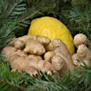 Zázračné účinky kurkumy - ginger-1928545_960_720