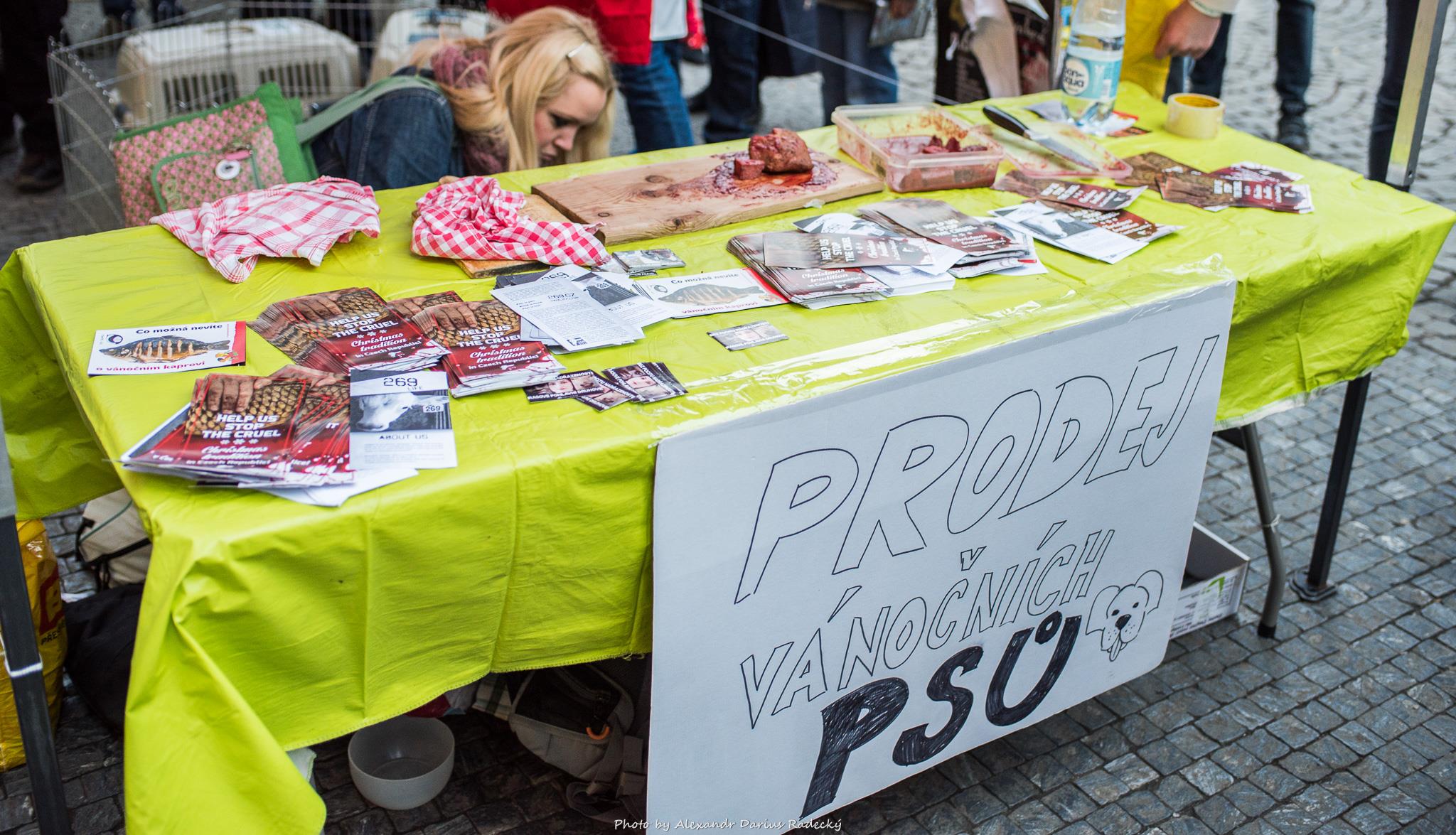 Obrázek #7 z 14