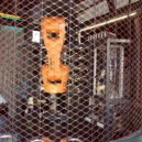 Cyberdog - Cyberdog 11,18