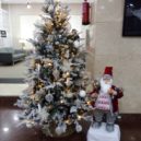 Vánoční svátky na Kanárech - Stromeček a Papa Noel – foto AC