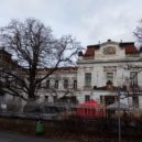 Vánoční trhy v psychiatrické léčebně Bohnice - Vánoční trh v Bohnicích – foto AC 7