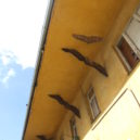 Dominikánský dvůr – Braník - 2015_07090022