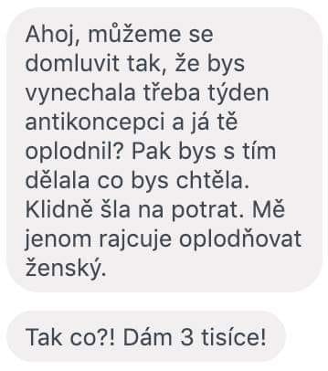 Obrázek #4 z 22
