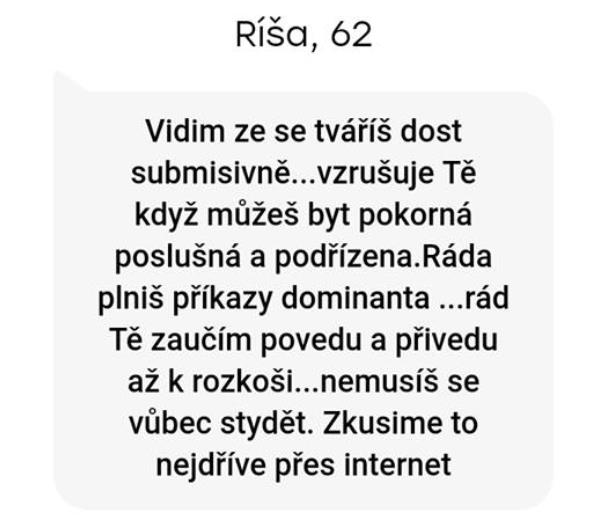 Obrázek #9 z 22