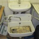 Otřesný pohled do kuchyní, hygienici rozdali téměř 900 pokut - foto_č.1_Znečištěná_výlevka_v_době_kontroly