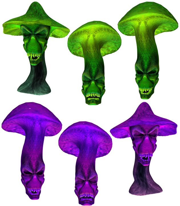 Obrázek #7 z 11