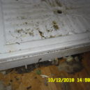 Otřesný pohled do kuchyní, hygienici rozdali téměř 900 pokut - znečištěná_lednice_a_podlaha