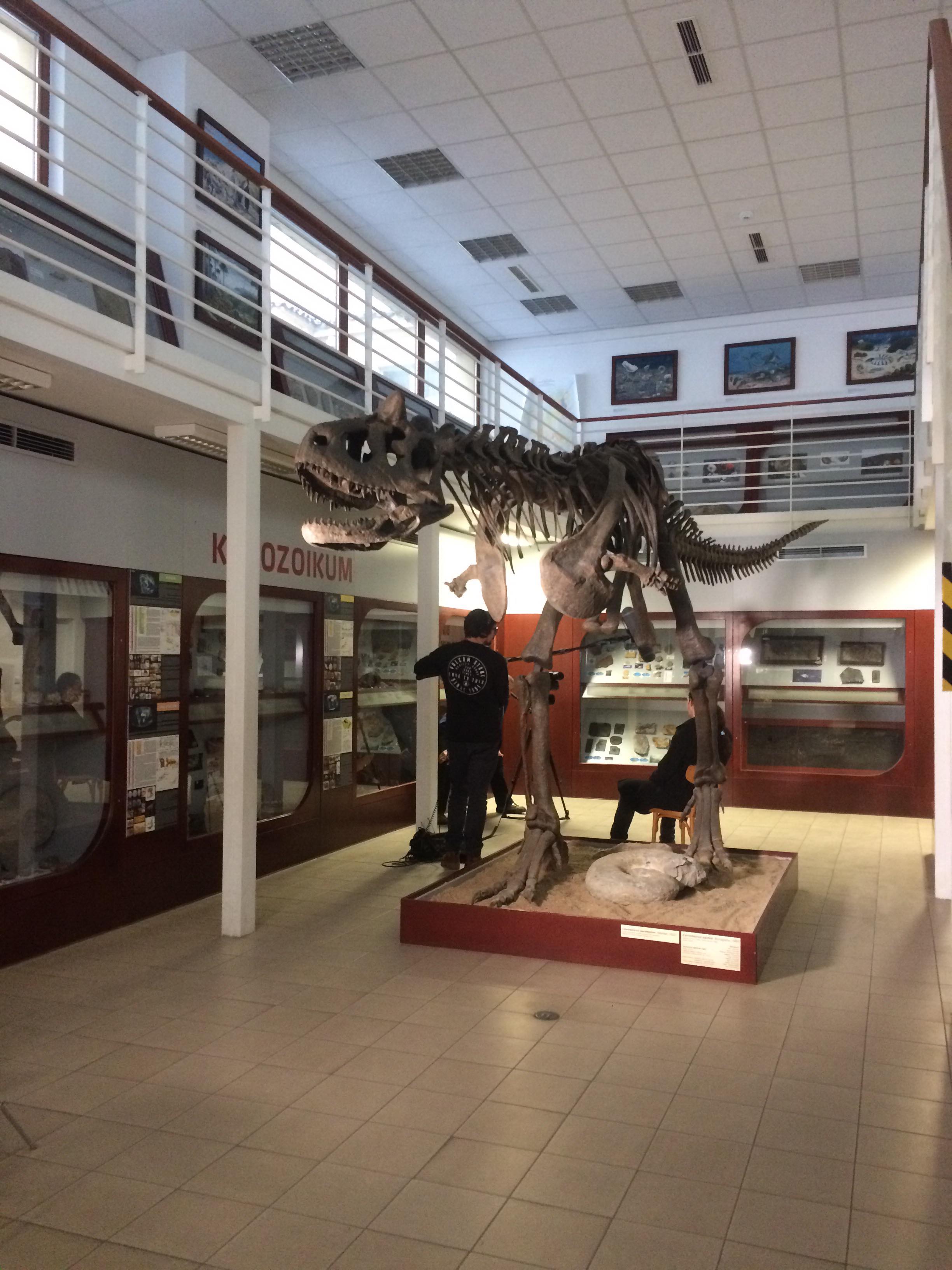 Chlupáčovo muzeum v Praze je malý „jurský park“! Navštívit jej můžete každou středu Chlupáčovo muzeum