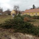 Kácení v Řitce - Ritka kaceni 10 – foto archiv Heleny Vondrackove