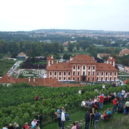 Botanická zahrada Troja - Trojské vinobraní_10