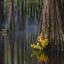 Nejkrásnější fotky soutěže International Landscape Photographer Of The Year 2018 - 64b4ea2876f71d8b8116315aff2601c2dffa0c06_big