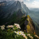 Nejkrásnější fotky soutěže International Landscape Photographer Of The Year 2018 - 91cf9576d4bcd0d8161df71414effccd5bd36200_big