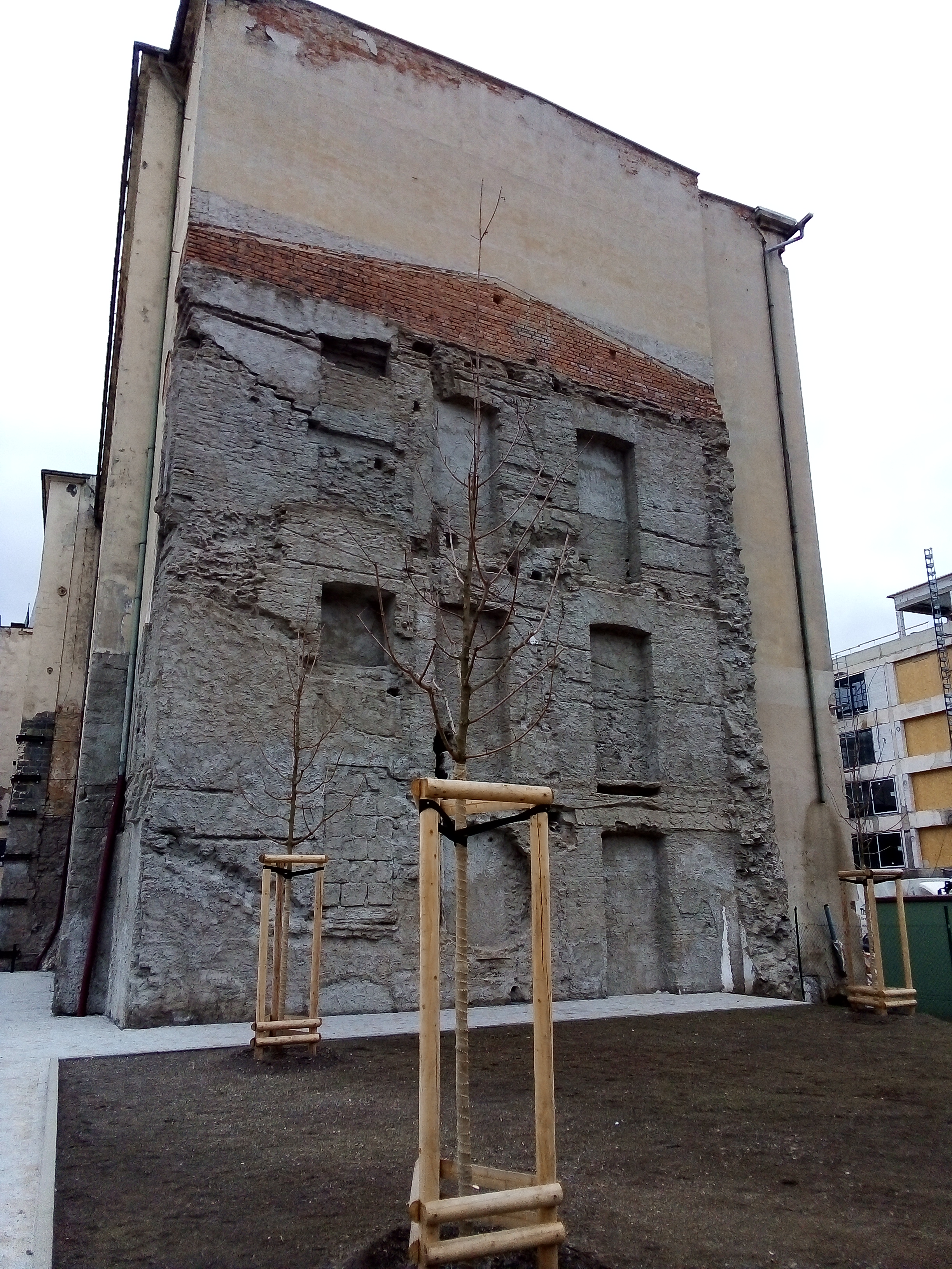 Obrázek #5 z 6