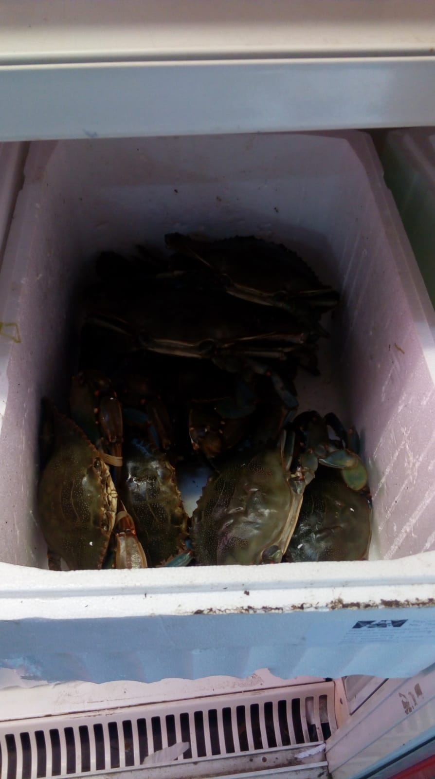 Obrázek #4 z 18