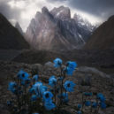 Nejkrásnější fotky soutěže International Landscape Photographer Of The Year 2018 - a3683eaa724531e044350645b748218eb66f5896_big