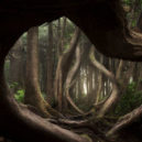 Nejkrásnější fotky soutěže International Landscape Photographer Of The Year 2018 - e866bff6bf4e073baea540d68d0171ea46dbd816