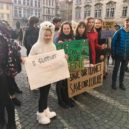 Z akce podporující stávku za klima a ze stávky - studentská stávka – foto archiv Kateřiny Bursíkové Jacques