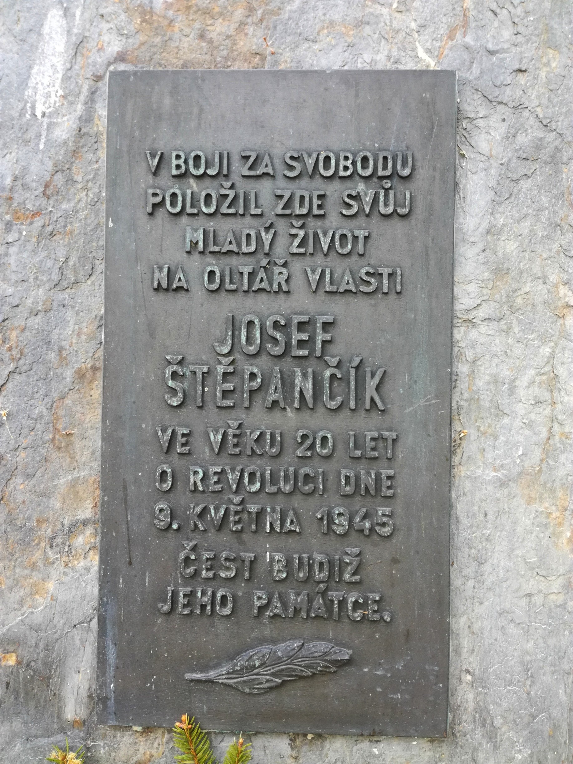 Obrázek #3 z 10