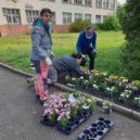 Lidé s hendikepem pomáhají v Praze 12 - Lide s hendikepem uprava piety – foto MC Praha 12 – 3