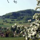 Drais a jeho drezína - Současný pohled na vesnici, kde během svého pobytu Drais vynalezl drezínu. Na snímku kopec Kočičí hrb. – wikipedia