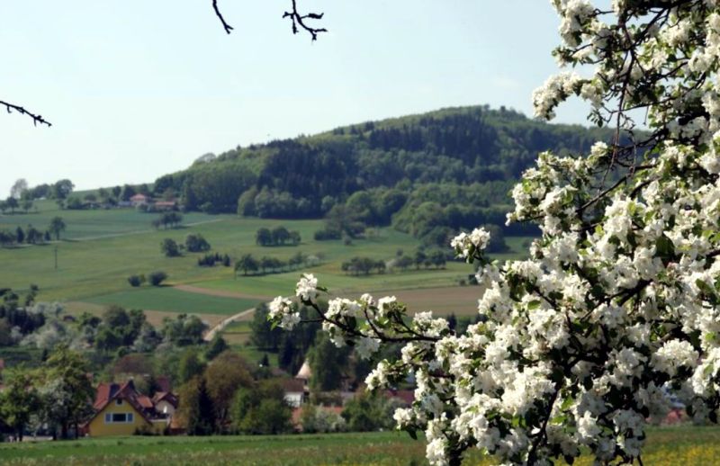 Obrázek #9 z 23