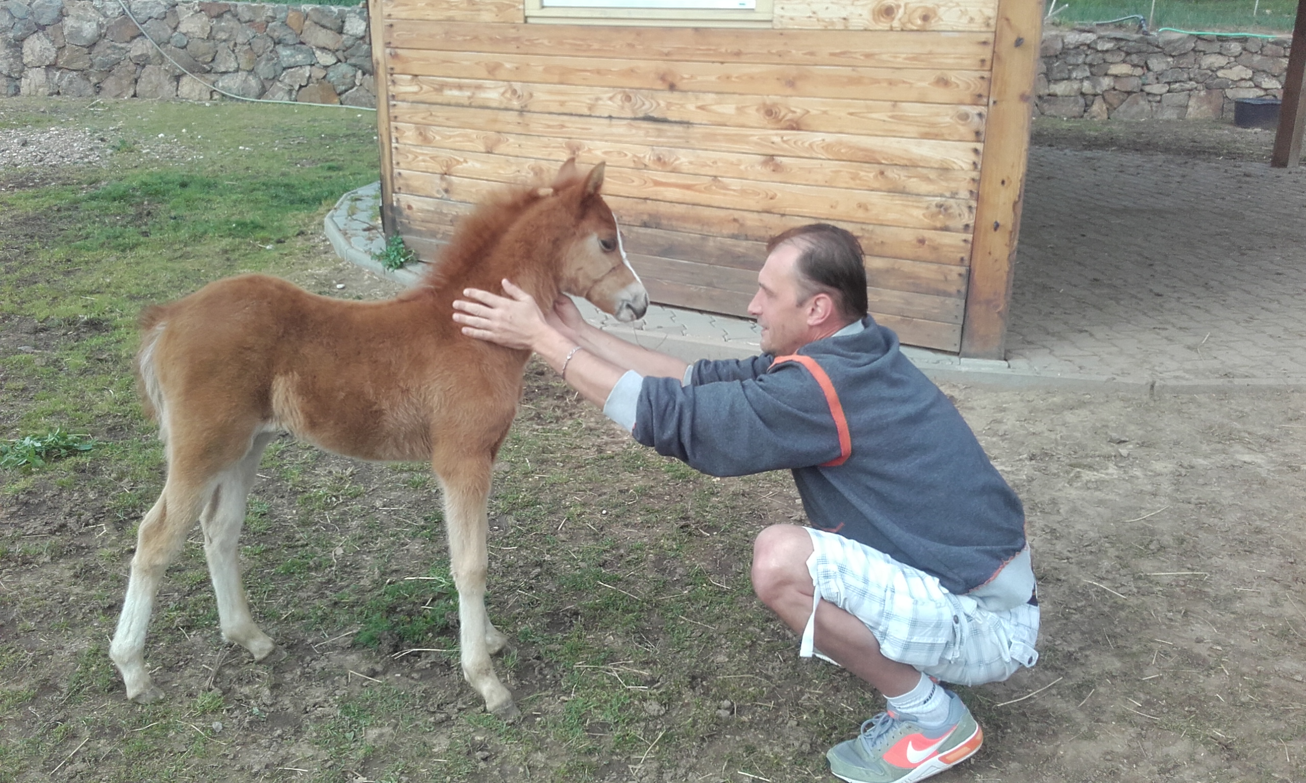 Obrázek #12 z 15