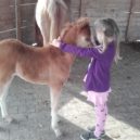 Křtiny Žežulky ze Statenic - 20190501_162941