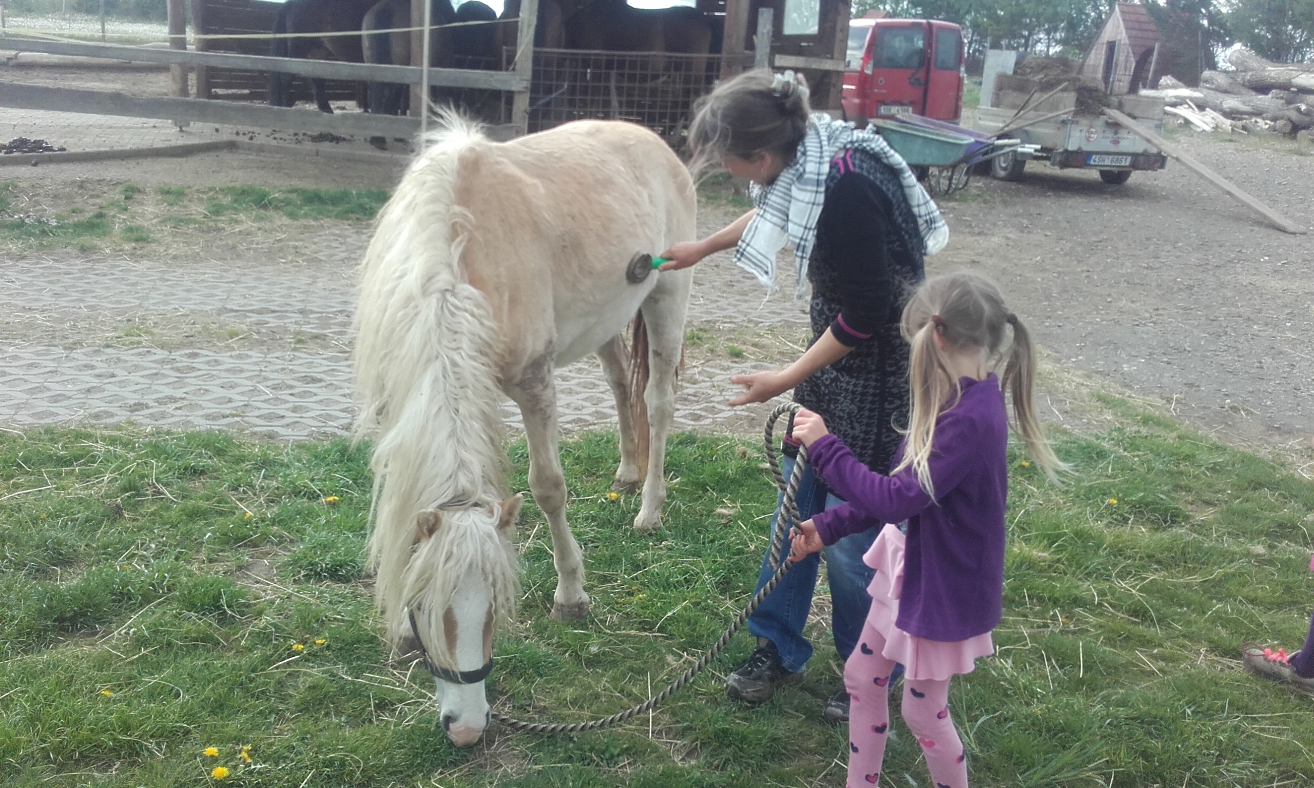Obrázek #8 z 15