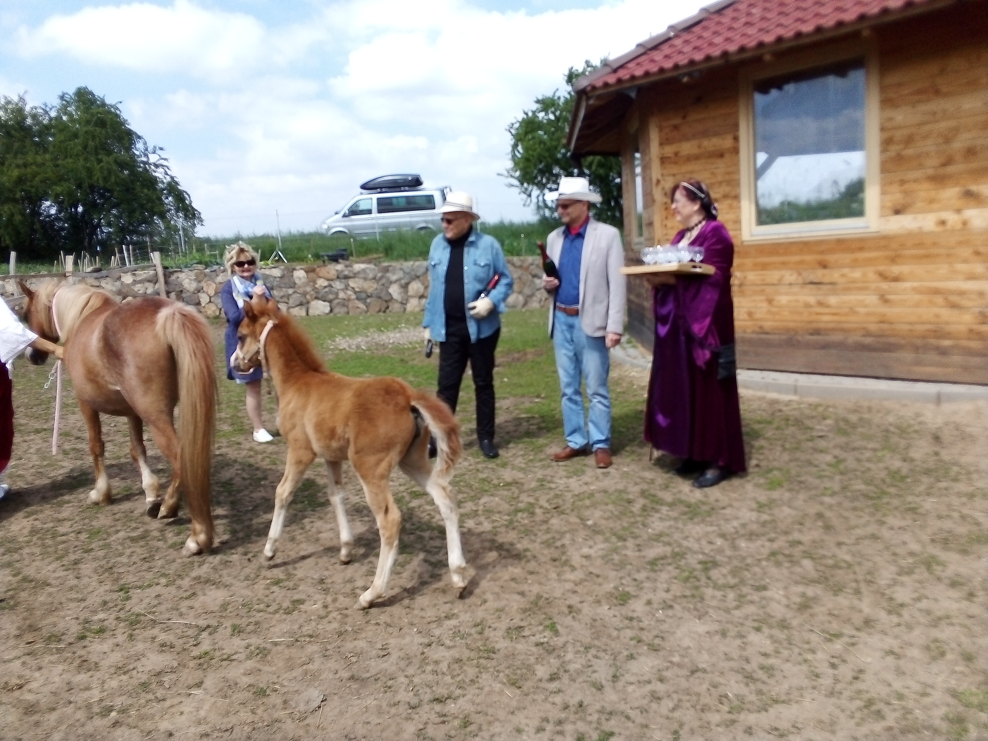 Obrázek #24 z 26