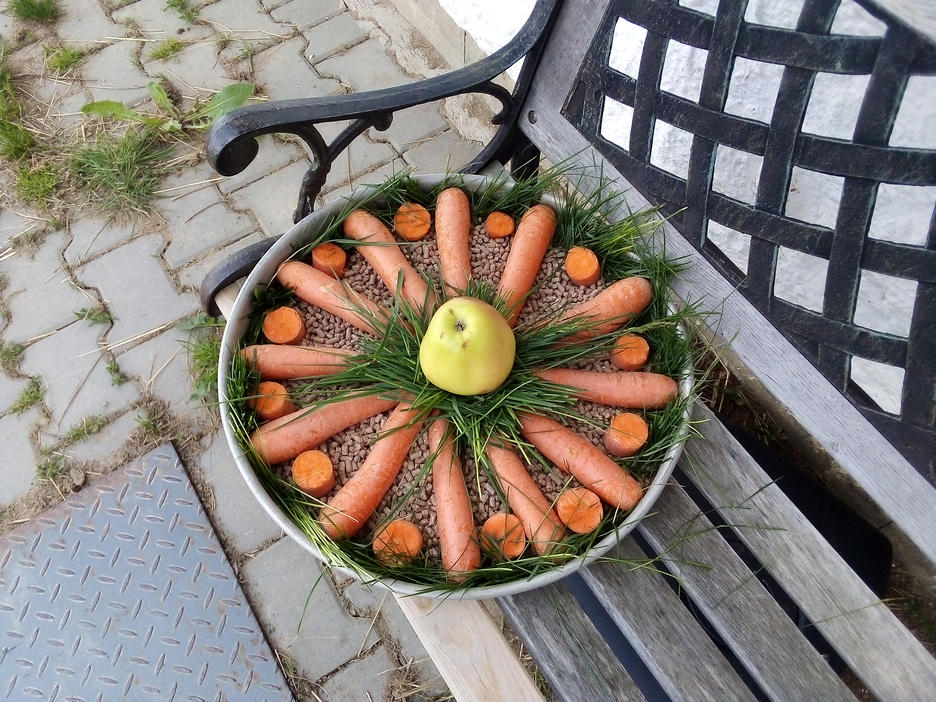 Obrázek #8 z 26