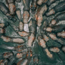 Obrazem: nejlepší snímky pořízené dronem - dron, fotografie, soutěž