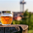 Žižkovské pivobraní 2019 - 0 žipi