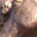 Bitva u Hradce Králove 1866 - 2 – Voják se loučí se svým zraněným a umírajícím koněm -Rekonstrukce bitvy u Hradce Králové (2016).- youtube