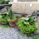Zahrada Šternberského paláce a výstava Česko-Sasko - Zahrada Šternberského paláce – foto AC