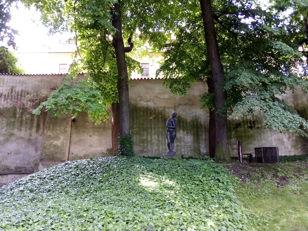 Obrázek #5 z 8