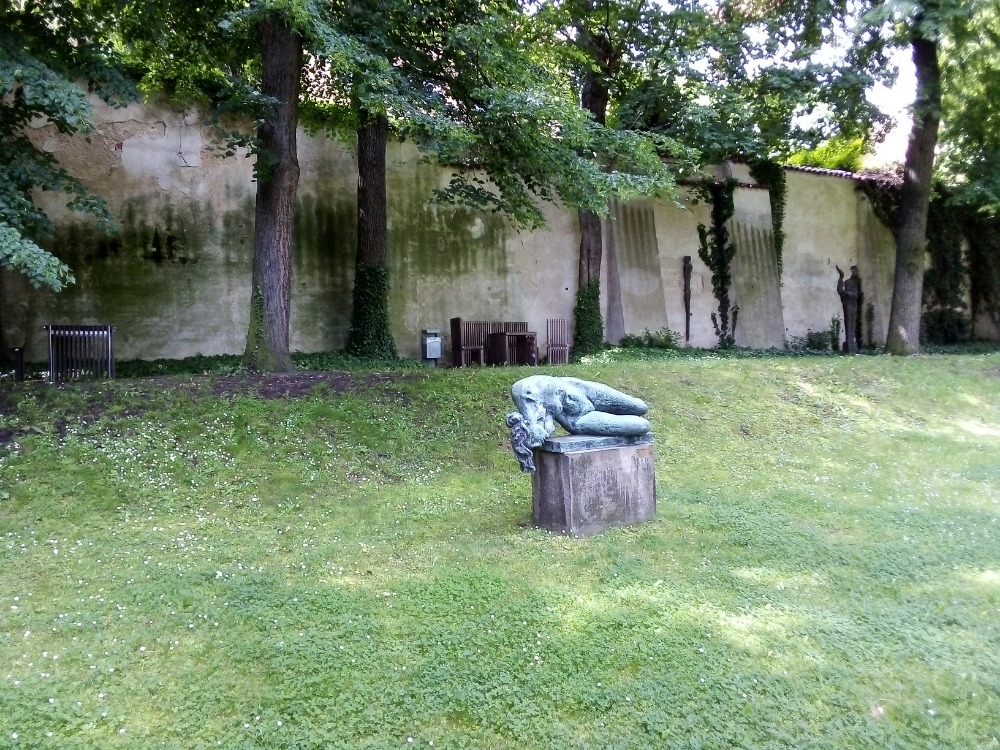 Obrázek #7 z 8