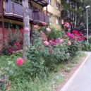 Sídliště Lesná-Brno - sídliště Lesná – foto AC