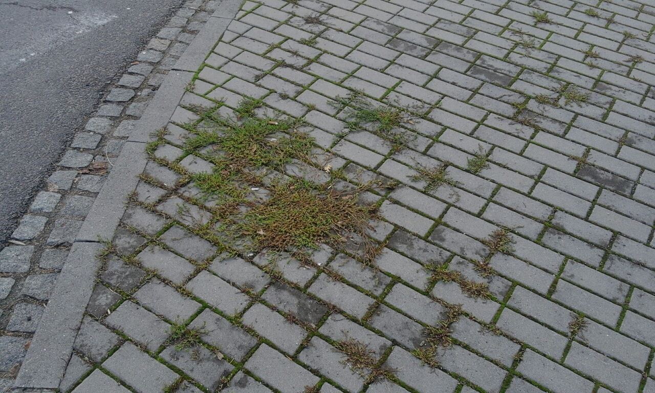 Obrázek #6 z 10