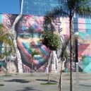 Graffiti Rio de Janeiro - grafitti Rio 1 – foto AC