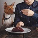 Chyby v psím stravování - pes_Veterinární poradna