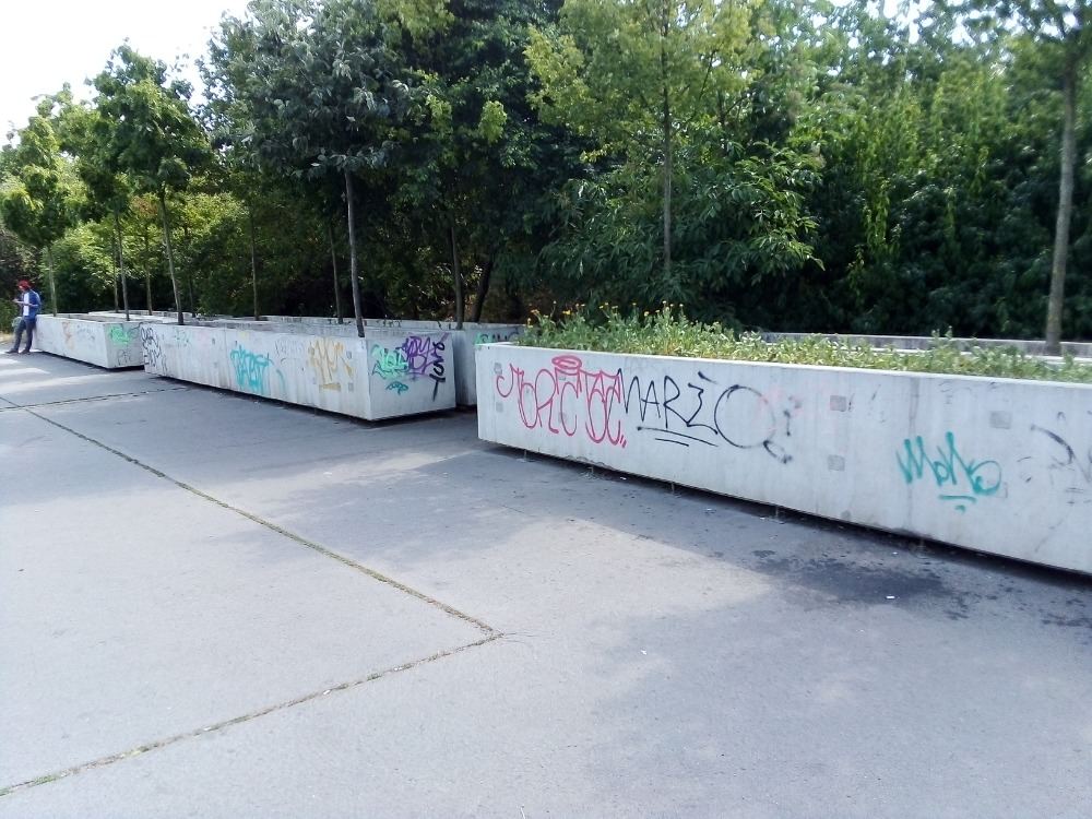 Část proslulých truhlíků se stromky či květinami je u Lihovaru. Lidé si víceméně zvykli!
