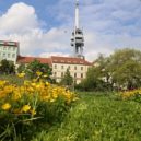 Tráva, tráva, tráva… - 2 tráva rn3