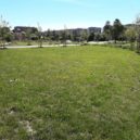 Vysočanský park Zahrádky - 20190603_110609