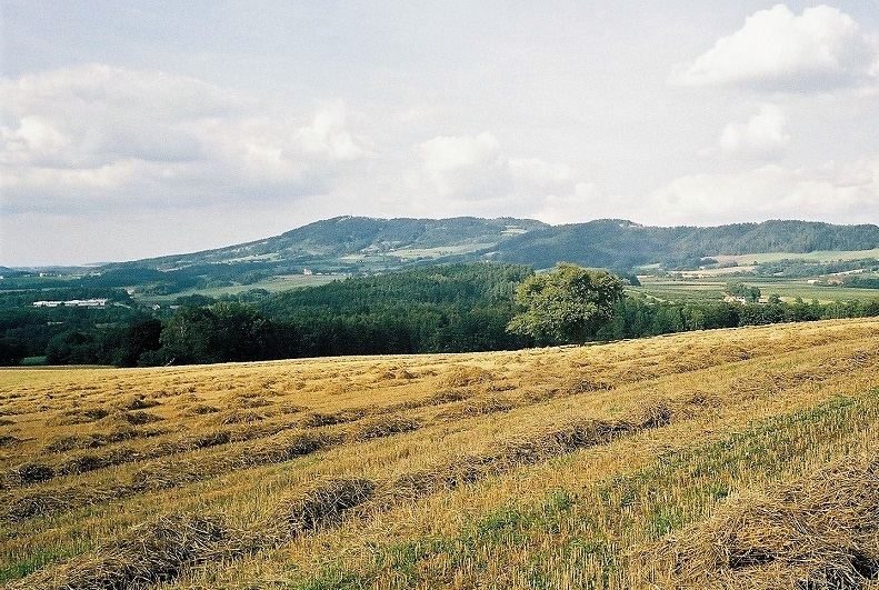 Obrázek #5 z 6