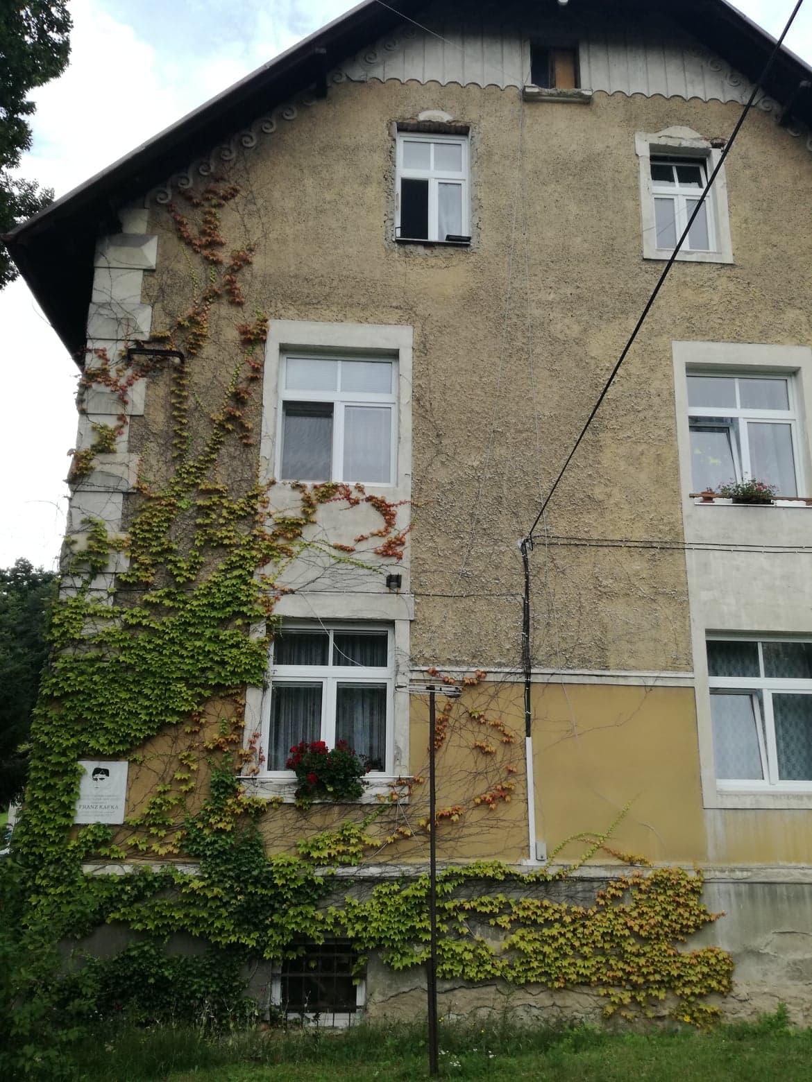 Obrázek #16 z 22