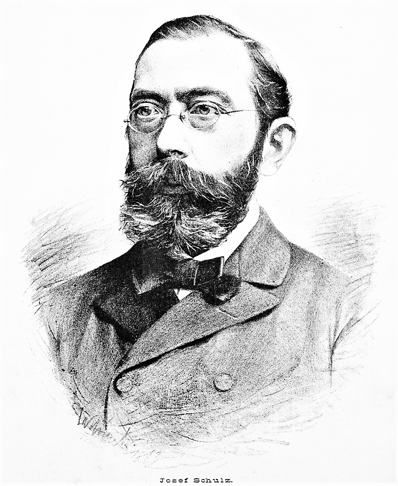 Obrázek #8 z 13